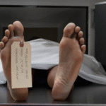 Un mercado macabro en la puerta de Chile: piernas, rodillas y tibias humanas retenidas en el aeropuerto