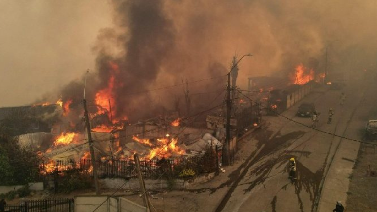 Advertencia ignorada: residuos forestales y la tragedia que anticipó Corma en el Bío Bío